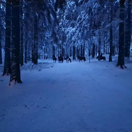 Sternenacht